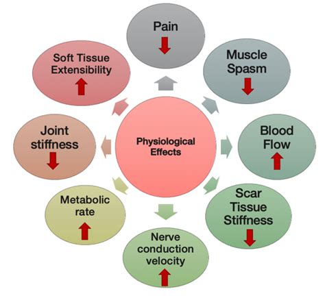 Therapeutic Modalities: Ultrasound