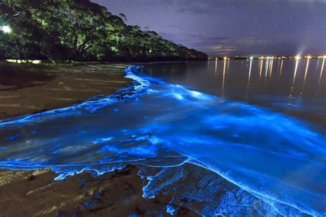 Glowing Waves Of Vaadhoo Island Blue