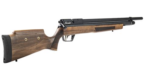 Summer Hunting Most Powerful Air Rifles Benjamin Airguns