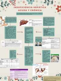 Insuficiencia Hep Tica Aguda Y Cr Nica Esquemas Y Mapas Conceptuales