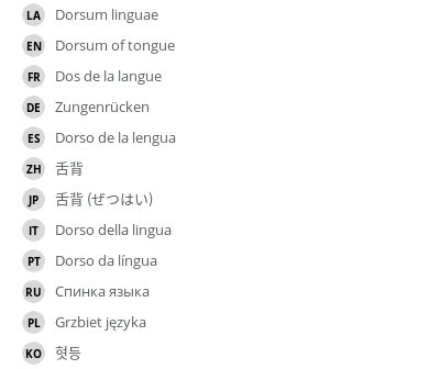 Dorsum of tongue - e-Anatomy - IMAIOS