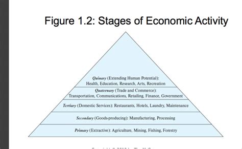 Figure 1.2: Stages of Economic Activity Quinary | Chegg.com