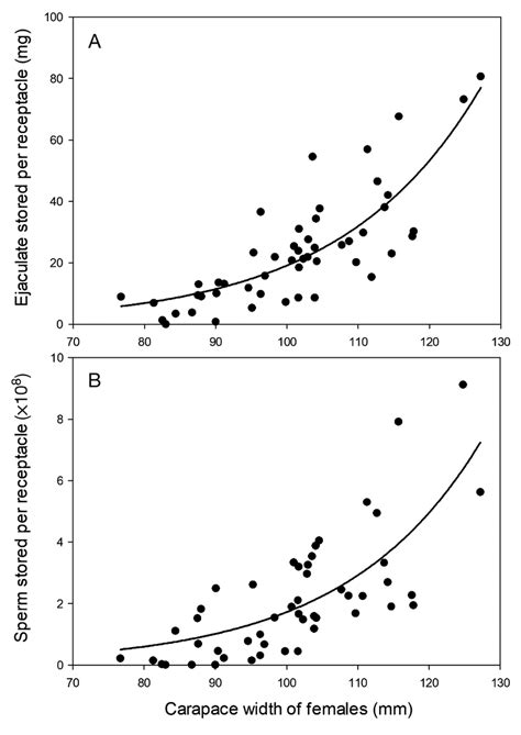 A Ejaculate Stored In Seminal Receptacles Of Female Metacarcinus Download Scientific Diagram