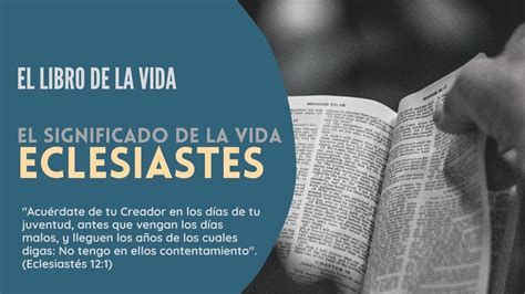 El Libro De La Vida Eclesiast S Antiguo Testamento Youtube