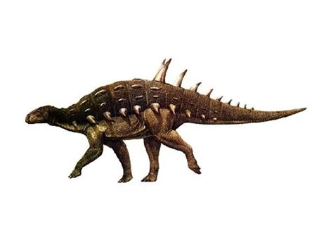 Hylaeosaurus | Description, Size, Fossil, Diet, & Facts