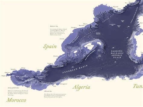 Mediterranean Seafloor Shaded Relief Map Explore The Depths In Stunning