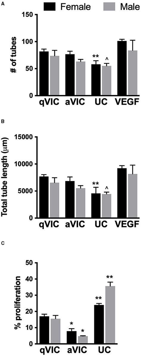 Frontiers Angiogenic Secretion Profile Of Valvular Interstitial Cells