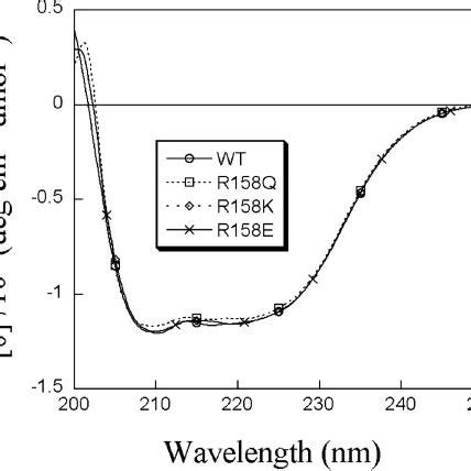 CD Spectra Of WT And Mutant Enzymes The Measurements Were Performed In