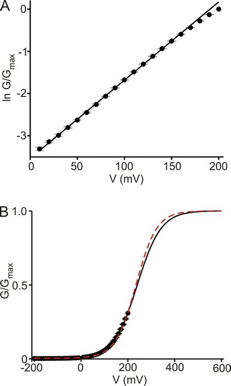 Voltage Dependence Of The Activation Of E363Q Mutant Channels Exposed