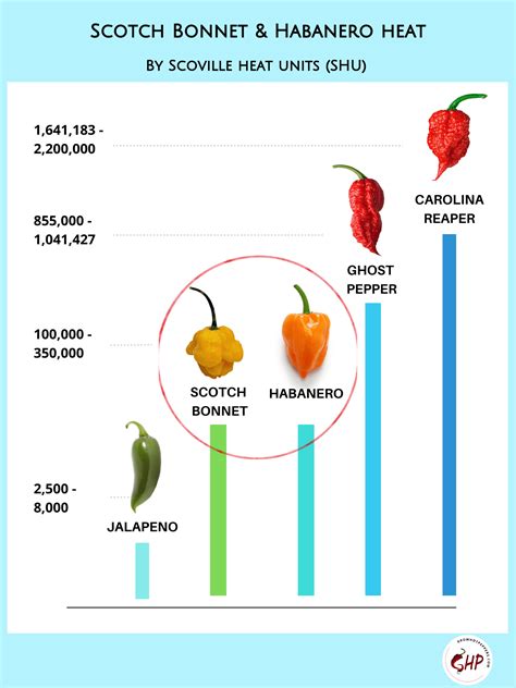 Scotch Bonnet Vs Habanero: Revealing 3 Key Differences In This Spicy ...