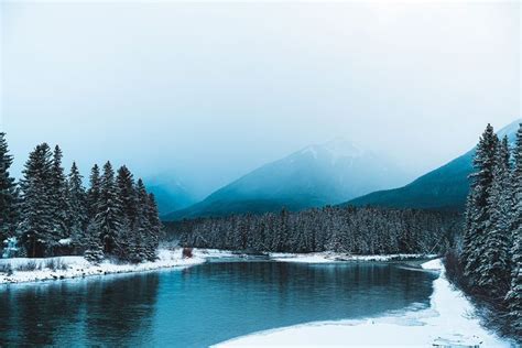 Serene Winter in Canmore Alberta Wall Mural in 2023 | Wall murals ...