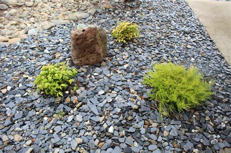chips ground cover 5