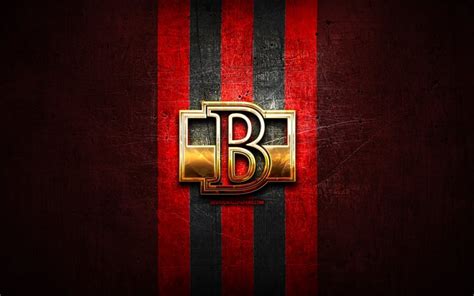 Download wallpapers Belleville Senators, golden logo, AHL, red metal ...