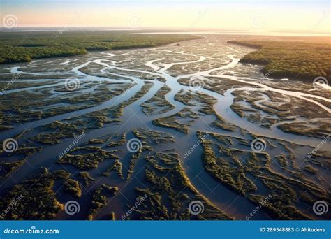 Time Lapse Of A River Delta Forming Over Years Stock Illustration