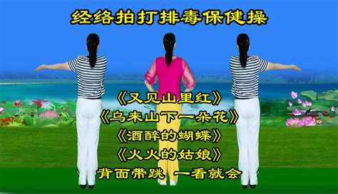 【心雨健身】中老年拍打健身操，早晚坚持20分钟，通经络养气血，全身都轻松 4千粉丝4千作品热议中 生活视频 免费在线观看 爱奇艺