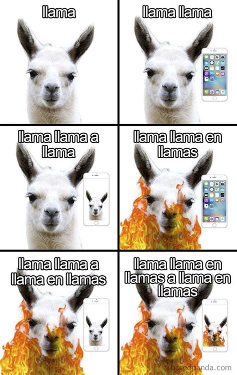 Funny Spanish Language Memes Spanisch Unterricht Spanisch Memes