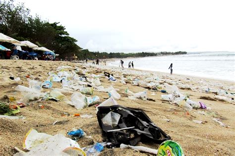 Tahun Baru 2021 Panen Sampah Laut Lagi Di Bali