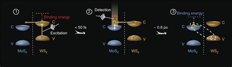 Ultrafast Formation Of Interlayer Hot Excitons In Atomically Thin Mos2