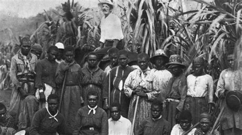 Slavery: Australia must look dark history in the eye | Opinion