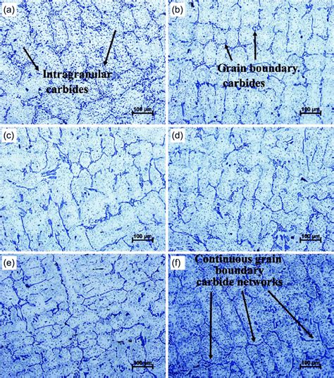 Microstructures Of Solution Treated Samples Taken By Om A