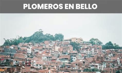 Plomeros en Medellín 24 Horas Económicos 2024