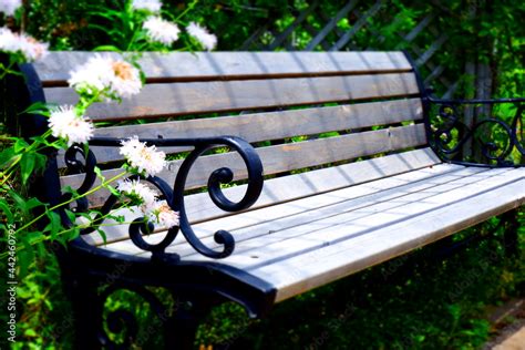 公園のベンチで花に囲まれてひと休み Stock 写真 Adobe Stock