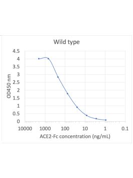 Human ACE2 ACEH Protein Fc Tag Abwiz Bio