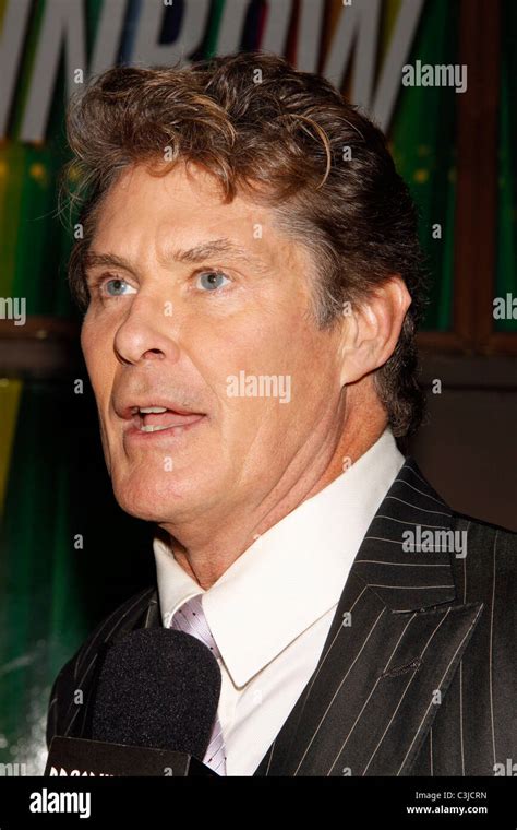 David Hasselhoff Opening Night Of The Classic Broadway Musical Finian S Rainbow Held At The St