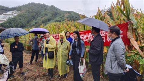 西昌学院农学院开展魔芋生产技术培训