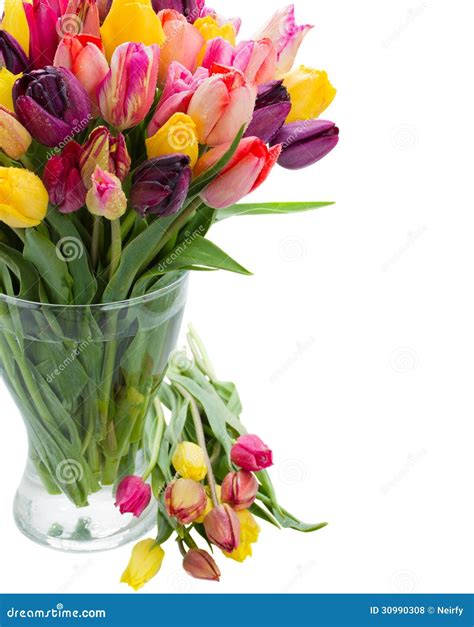 Fleurs De Tulipe Dans Le Vase En Verre Photo Stock Image Du Flore