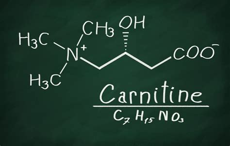 L-Carnitine and its 11 great side effects - GymBeam Blog