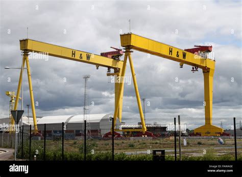 Harland and Wolff's iconic cranes Samson (tallest) and Goliath were Stock Photo - Alamy