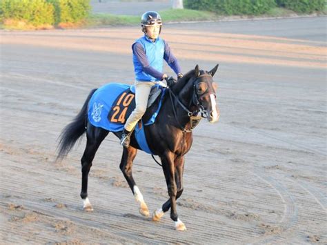 三冠牝馬アパパネの仔が臨戦態勢 国枝師「動きは合格点」関東馬メイクデビュー情報 競馬ニュース Netkeiba