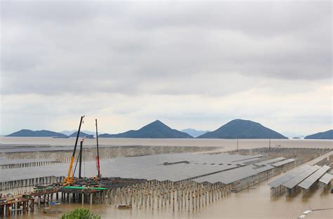 三门：滩涂光伏电站建设酣 台州频道