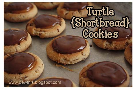 DewTHIS: Turtle {Shortbread} Cookies