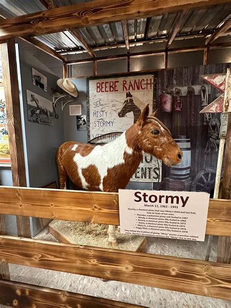 Misty of Chincoteague – Chincoteague Island, Virginia - Atlas Obscura