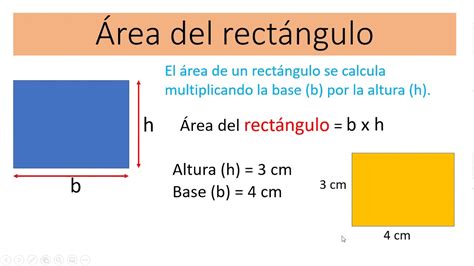 Formula Del Area Del Rectangulo Con Ejemplos Practicos Images