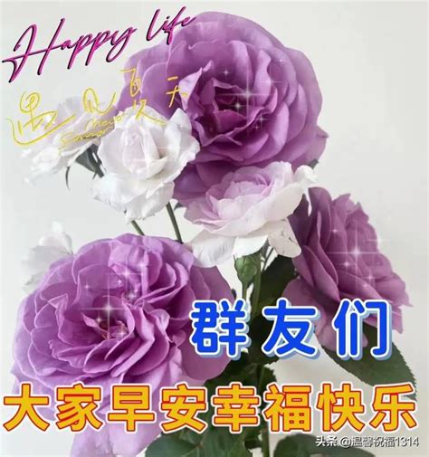 6月16日 每天問候，寄深情，彼此祝福，都安康。早上好 開心每一天 每日頭條