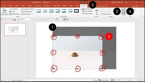 Как обрезать рисунок по фигуре в powerpoint