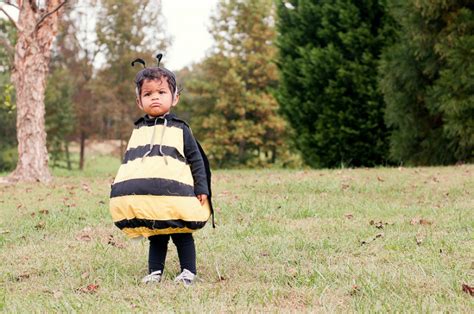 Bumblebee And Bee Keeper Halloween Costume Tutorial The Cottage Mama