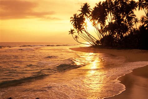 Travel To Hikkaduwa Beach Sri Lanka 2024 The Best Choice