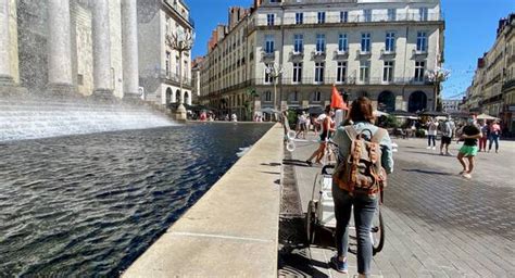 Les Champignons Un Monde Fascinant Echosciences Grenoble