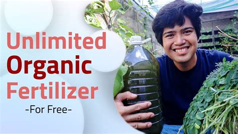 Make Free Organic Grass Clipping Fertilizer Video Youtube