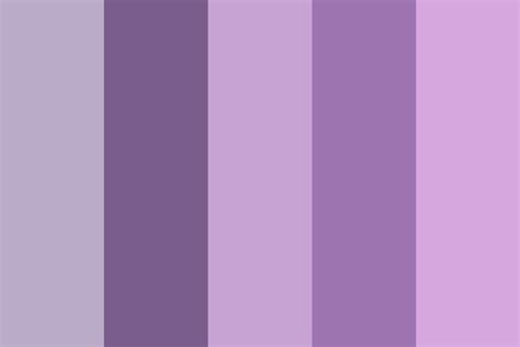 Five Shades of Purple Color Palette | Purple colour shades, Purple ...