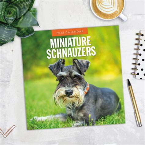 Miniatuur Schnauzer Kalender Kopen Eenvoudig En Snel Online Best