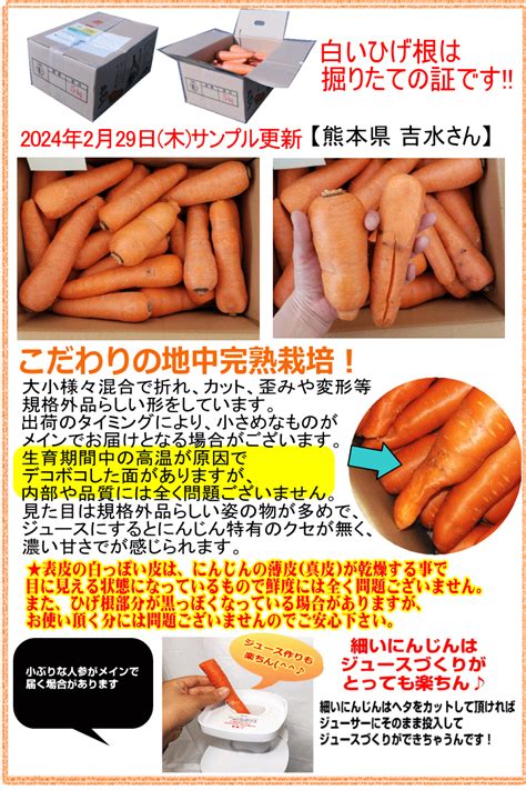 セール【あす楽】産地が選べる 有機 にんじん 5kg【送料無料】無農薬にんじん 5キロ有機jas認証 ジュース用 にんじん 5kg【無農薬