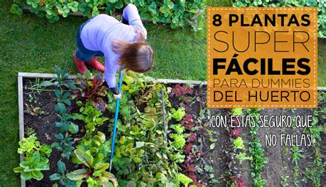 8 Cultivos Fáciles Para Empezar Tu Huerto En Casa Cocopot