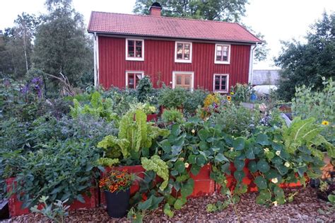 My Favorite 6 Vegetables for Raised Beds – Sara's Kitchen Garden