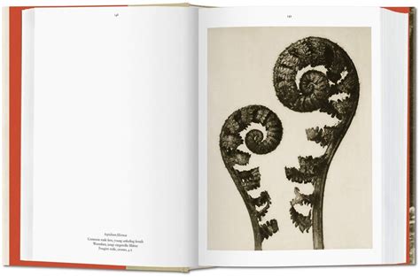 Karl Blossfeldt The Complete Published Workhans Christian Adam97838