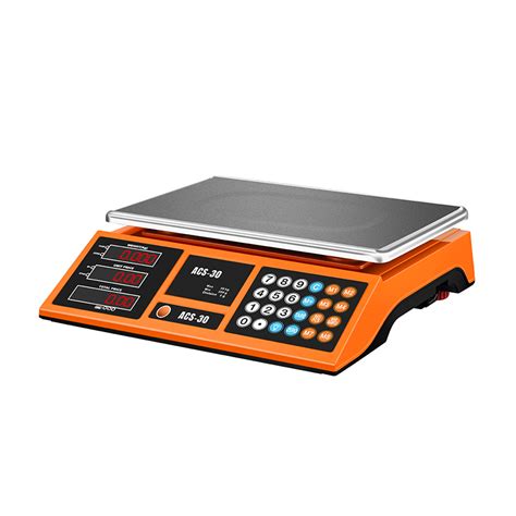 RJ 5020 30Kg Electronic Price Computing Scale Double Display Buy